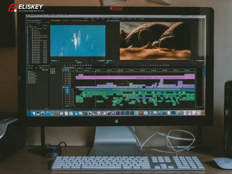 Hướng dẫn chỉnh kích thước trong Adobe Premiere mới nhất