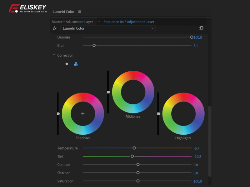 Hướng dẫn cách chỉnh màu trong Adobe Premiere mới nhất